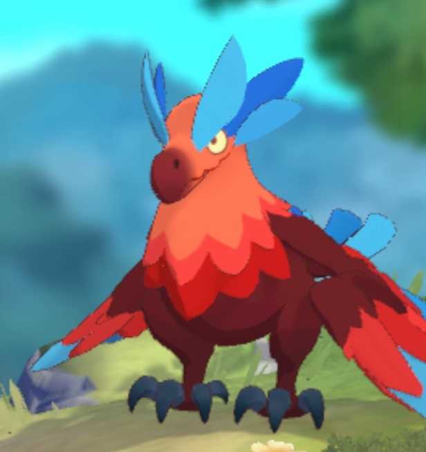 卡米的旅途国际服