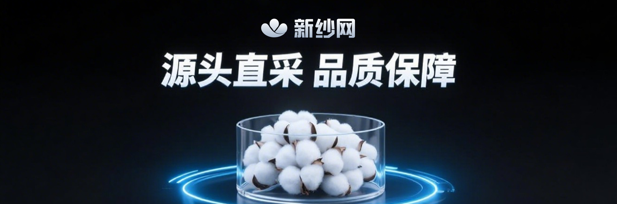 新纱网 安卓版 操作界面