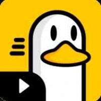 胖鸭tv蜂蜜版v1.0.3