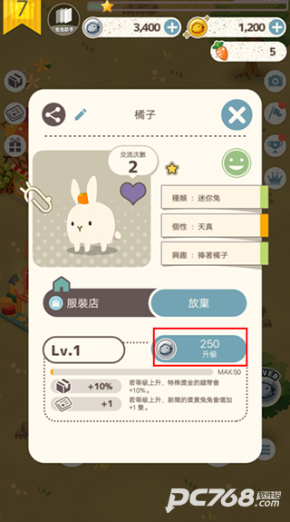 兔子真是太可爱了