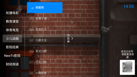 神鸟电视TV免授权码版