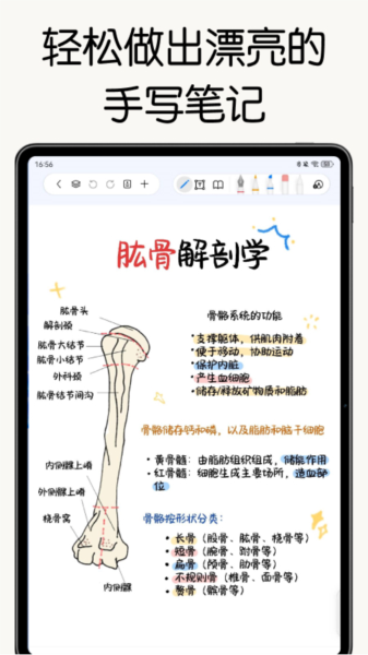 自由笔记软件