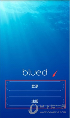 bluedapp软件