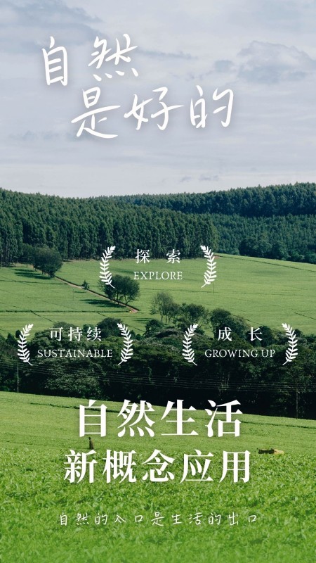 熊猫客app下载安装截图