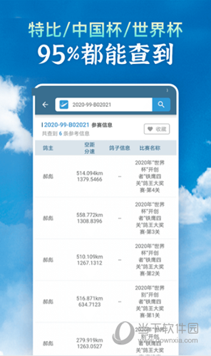 查鸽网