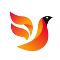 火鸟影视tv版下载