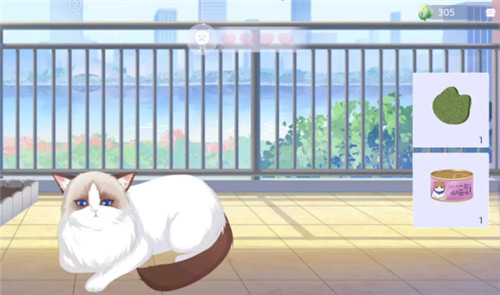 猫之宿约者官方版