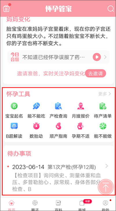 怀孕管家