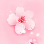 桃花岛午夜视频污破解版