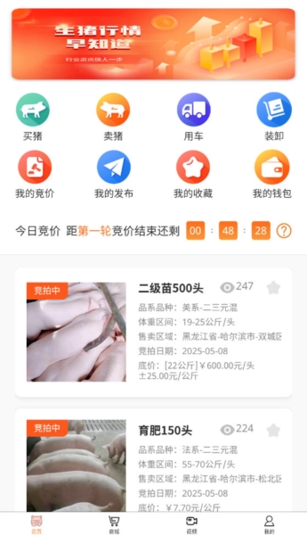 好多猪生猪交易平台4