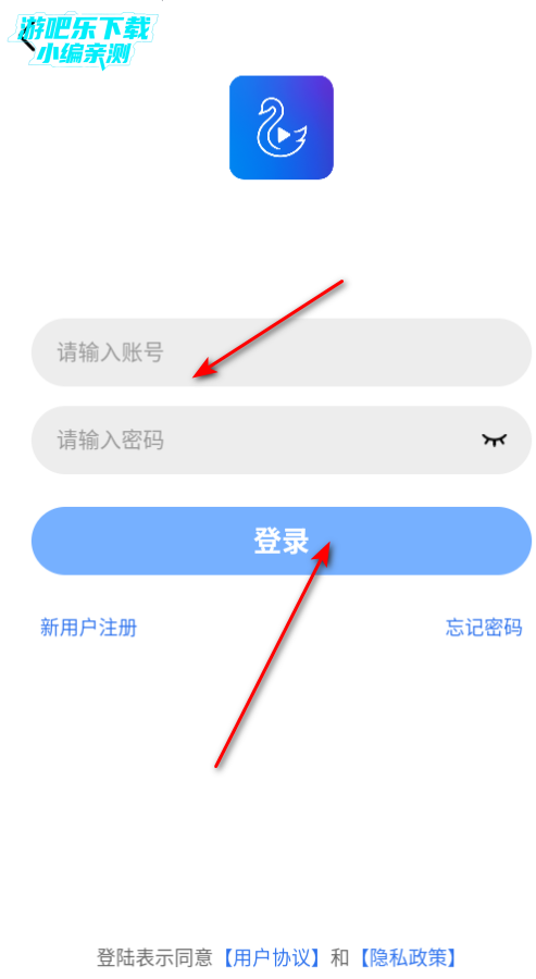 天鹅视频高清版