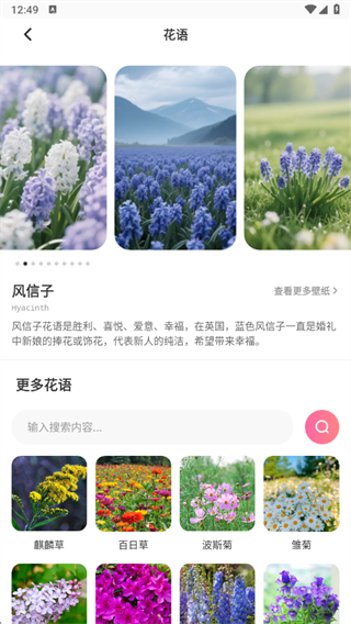 嘉迪APP5
