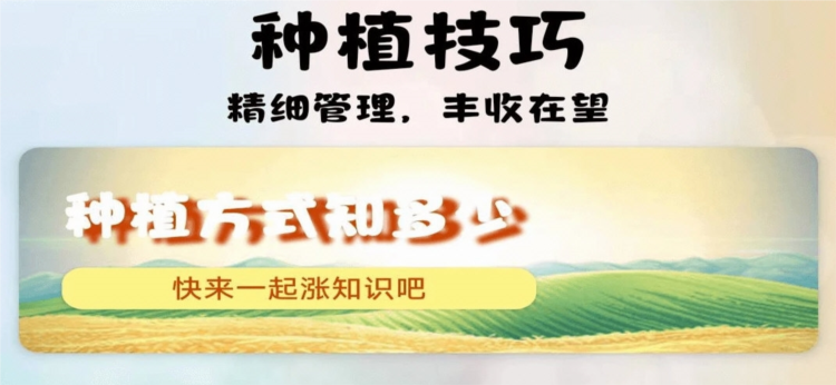 田园牧歌APP