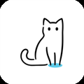 猫影视最新