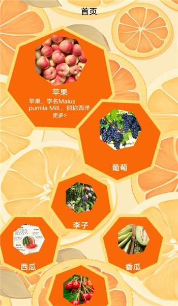 柚子快报告app v1.1