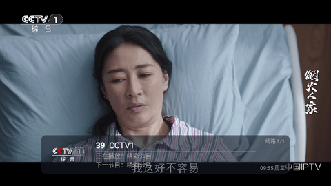 玫瑰传媒2024最新版