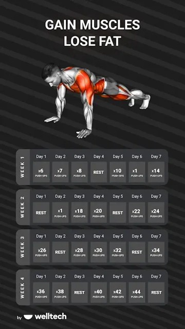 Muscle Booster图片2