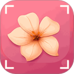 识花君植物识别app下载