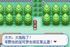 口袋妖怪火红中文版
