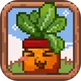 丰收轮回下载 v1.0 