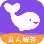 ׼׼app