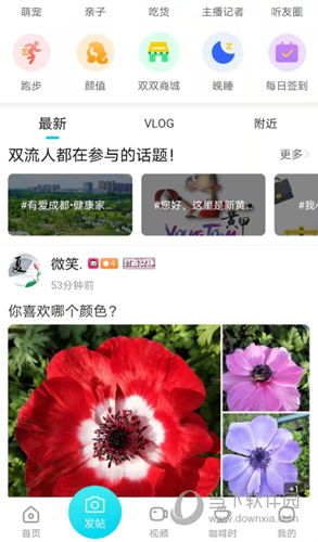 云上双流APP