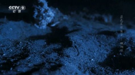 海燕tv官方版2024年最新版下载截图