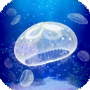 养育水母的治愈游戏app官方下载 v1.0.0