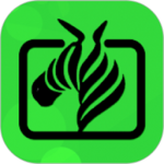 斑马视频app官方版