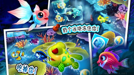 大鱼吃小鱼OL手机版 v1.8.5安卓版 