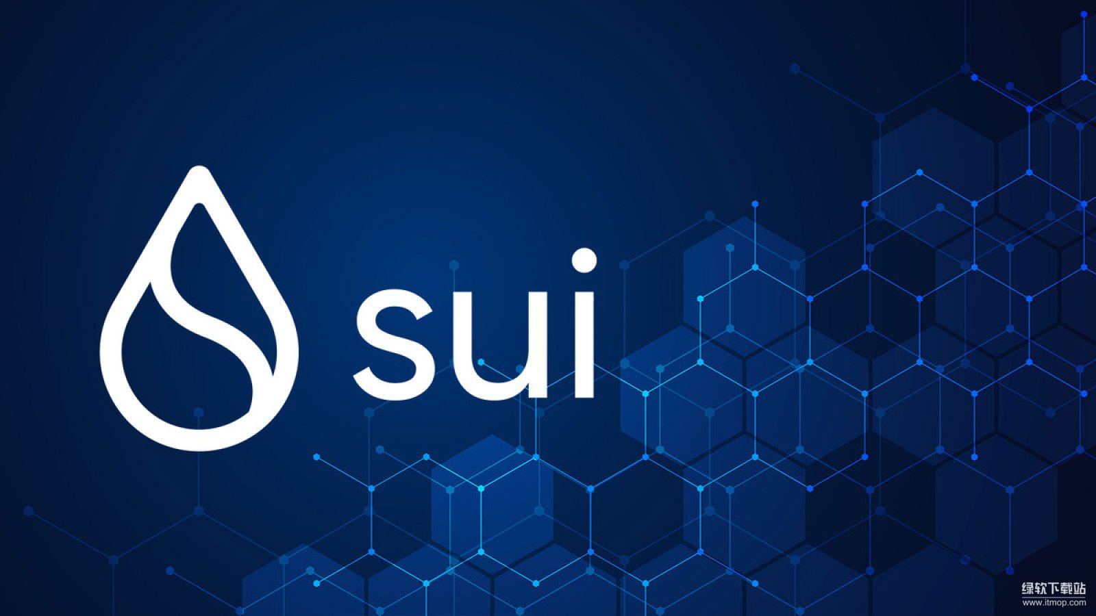 Sui Network链上活跃但价格滞后，估值与基本面为何背离？