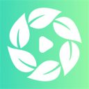 绿茶剧场安卓版