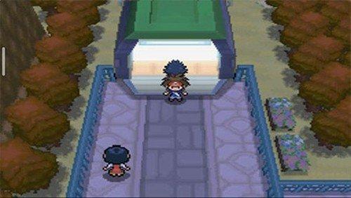 口袋妖怪超透黑