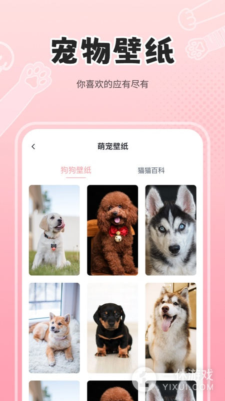 人狗猫交流器截图3