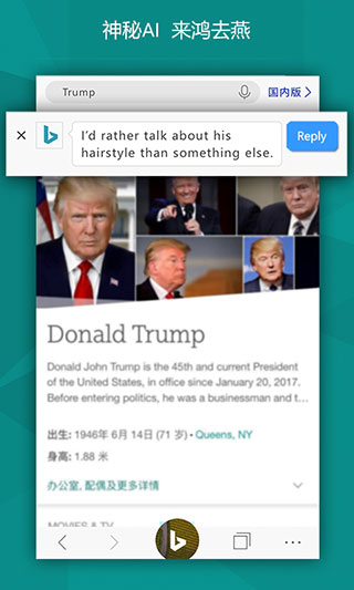 BING搜索国内版 v29.0.420