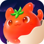 番茄工作法app手机安卓版1.0.10最新版