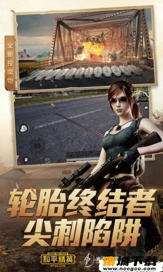 预览图3