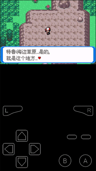 口袋妖怪决心gba版