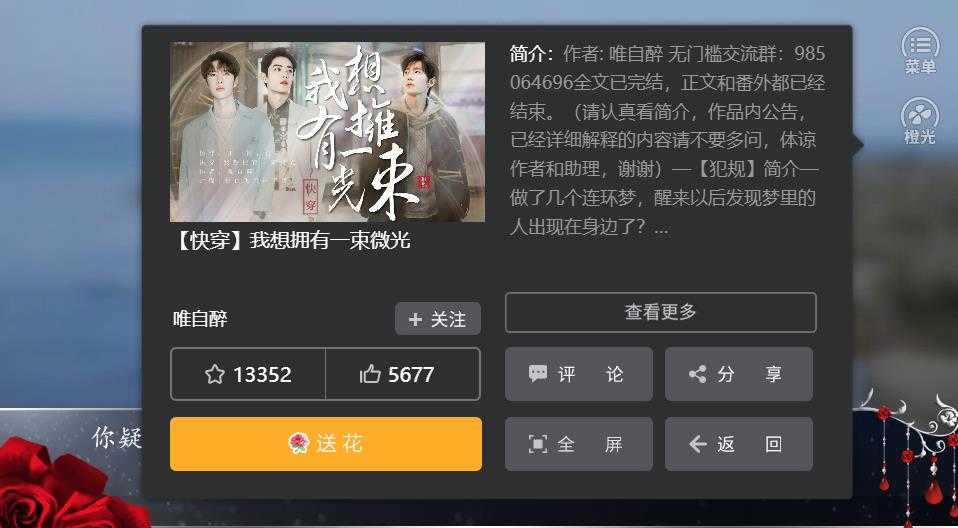 我想拥有一束微光内置菜单截图