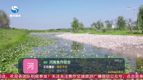 壁虎电视免授权版