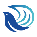 光鸟动漫安卓版