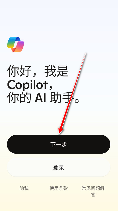 Microsoft Copilot