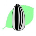 瓜籽影视无广告版