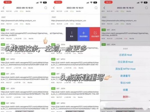 stormsniffer2024羊了个羊使用教程