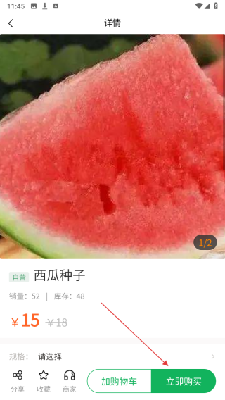 肥团团