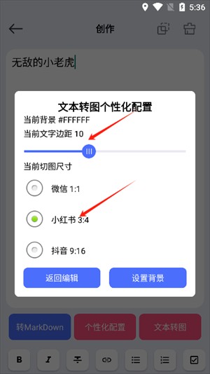 DS文本转图片