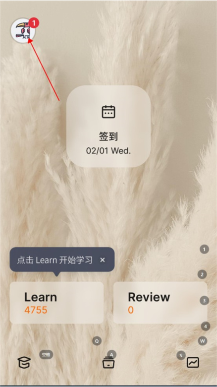 不背单词截图3