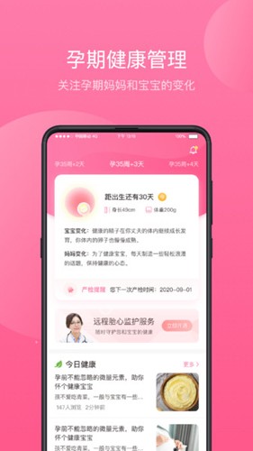 appv1.6.31