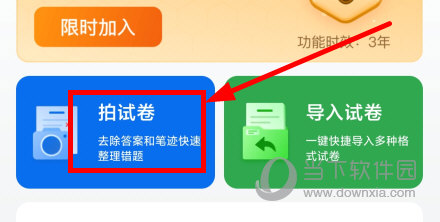 蜜蜂试卷