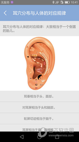 妙郎中耳穴检测